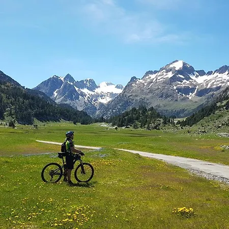 Apartment Ballbenas *